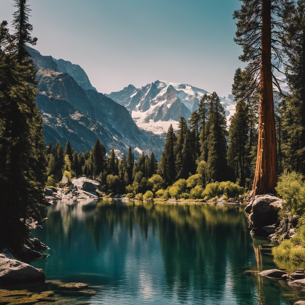 An image showcasing the majestic Sierra Nevada mountain range, adorned with towering snow-capped peaks, serene alpine lakes reflecting the azure sky, and lush forests teeming with wildlife, inviting readers to discover enchanting fun facts about California's captivating mountain region
