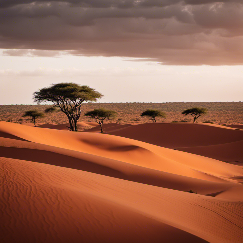 the essence of the Kalahari Desert in a single frame: A vast landscape of red sand dunes stretching to the horizon, adorned with sporadic acacia trees and an occasional herd of graceful oryx roaming freely