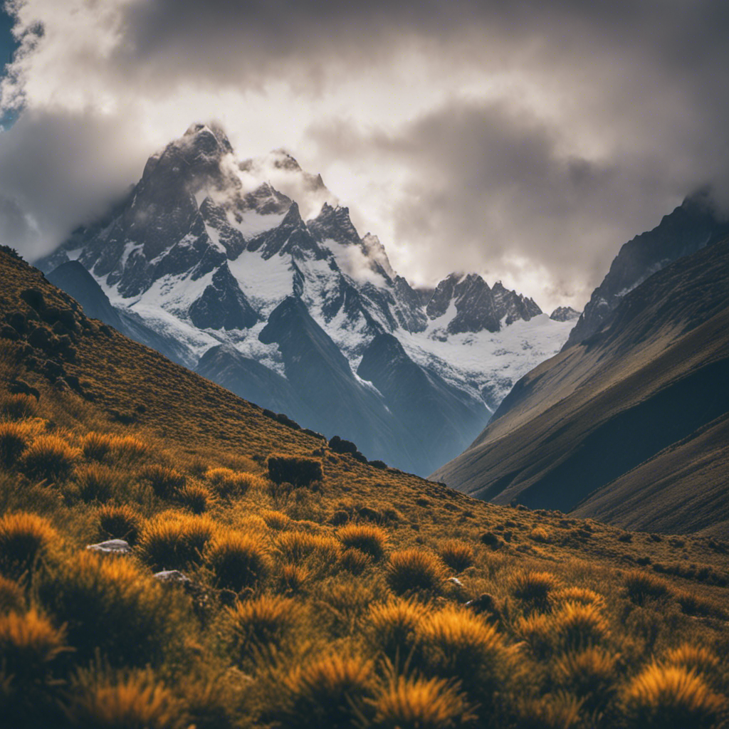 An image showcasing the breathtaking magnificence of the Andes Mountains, with their towering peaks stretching towards the heavens, snow-capped and veiled in mist, while vibrant alpine flora and grazing llamas add a touch of life to this awe-inspiring landscape